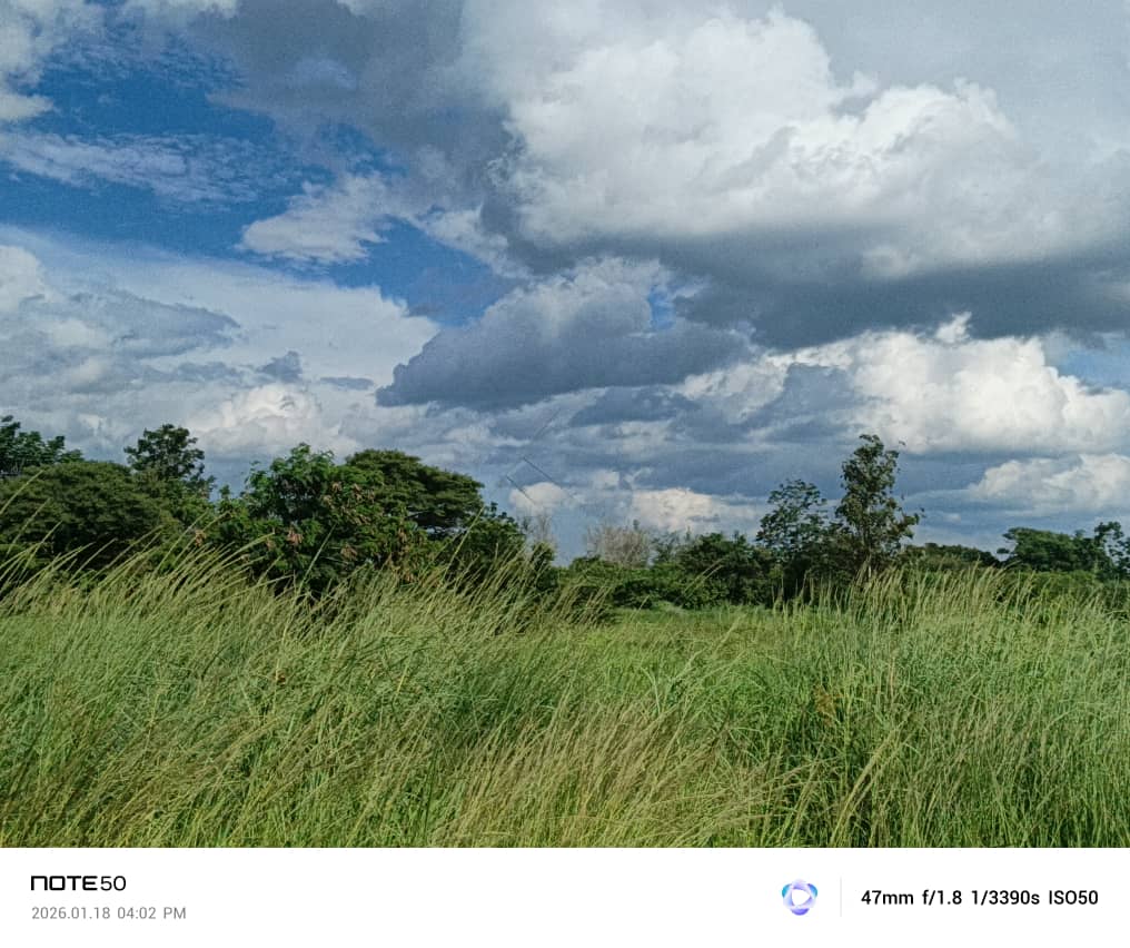 Property Thumbnail